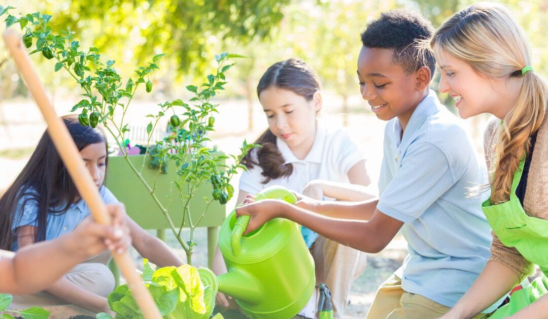 4 Ways To Improve Sustainability in the Classroom