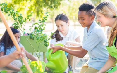 4 Ways To Improve Sustainability in the Classroom